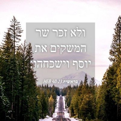 Picture 04 - בראשית 40:23 HEB - ולא זכר שר המשקים את יוסף - Bible Verse Picture