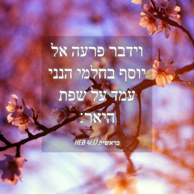 Picture 04 - בראשית 41:17 HEB - וידבר פרעה אל יוסף בחלמי - Bible Verse Picture