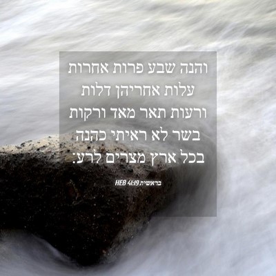 Picture 04 - בראשית 41:19 HEB - והנה שבע פרות אחרות עלות - Bible Verse Picture
