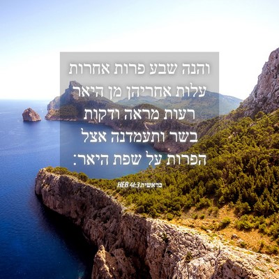 Picture 04 - בראשית 41:3 HEB - והנה שבע פרות אחרות עלות - Bible Verse Picture