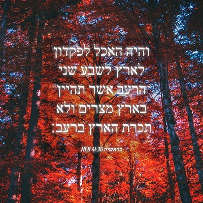 Picture 04 - בראשית 41:36 HEB - והיה האכל לפקדון לארץ לשבע - Bible Verse Picture