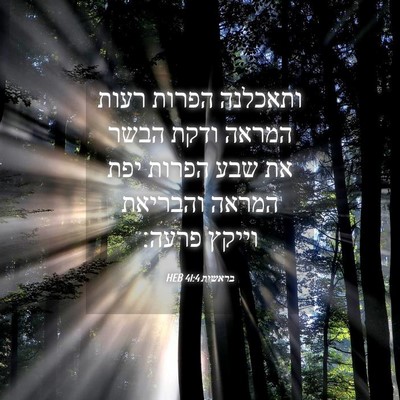 Picture 04 - בראשית 41:4 HEB - ותאכלנה הפרות רעות המראה - Bible Verse Picture