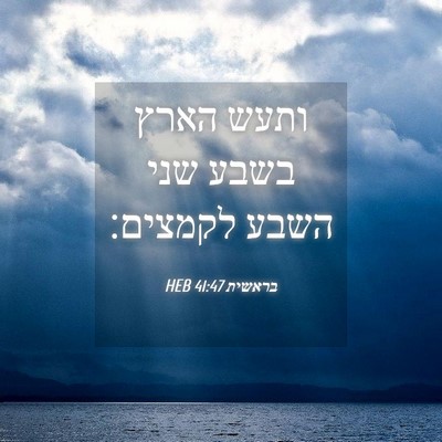 Picture 04 - בראשית 41:47 HEB - ותעש הארץ בשבע שני השבע - Bible Verse Picture