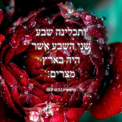 Picture 04 - בראשית 41:53 HEB - ותכלינה שבע שני השבע אשר - Bible Verse Picture
