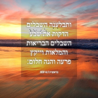 Picture 04 - בראשית 41:7 HEB - ותבלענה השבלים הדקות את - Bible Verse Picture