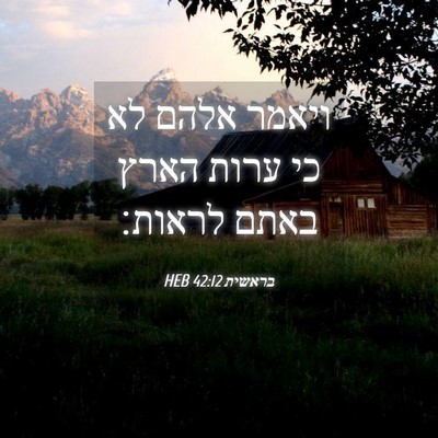 Picture 04 - בראשית 42:12 HEB - ויאמר אלהם לא כי ערות הארץ - Bible Verse Picture