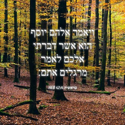 Picture 04 - בראשית 42:14 HEB - ויאמר אלהם יוסף הוא אשר - Bible Verse Picture