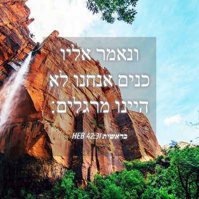 Picture 04 - בראשית 42:31 HEB - ונאמר אליו כנים אנחנו לא - Bible Verse Picture