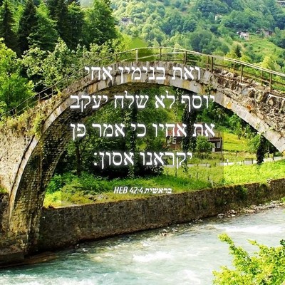 Picture 04 - בראשית 42:4 HEB - ואת בנימין אחי יוסף לא שלח - Bible Verse Picture