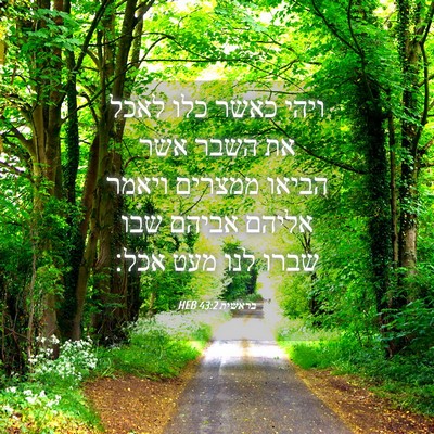 Picture 04 - בראשית 43:2 HEB - ויהי כאשר כלו לאכל את השבר - Bible Verse Picture