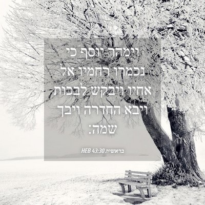 Picture 04 - בראשית 43:30 HEB - וימהר יוסף כי נכמרו רחמיו - Bible Verse Picture