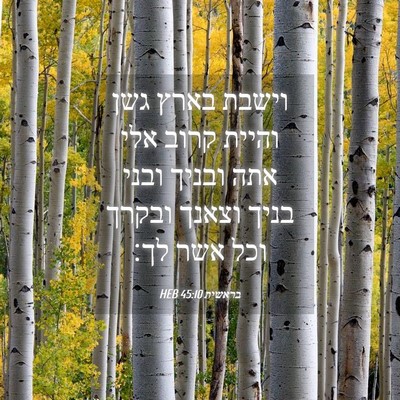 Picture 04 - בראשית 45:10 HEB - וישבת בארץ גשן והיית קרוב - Bible Verse Picture