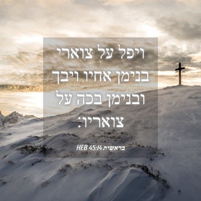 Picture 04 - בראשית 45:14 HEB - ויפל על צוארי בנימן אחיו - Bible Verse Picture