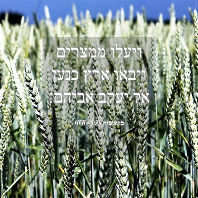 Picture 04 - בראשית 45:25 HEB - ויעלו ממצרים ויבאו ארץ - Bible Verse Picture