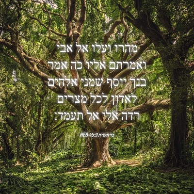 Picture 04 - בראשית 45:9 HEB - מהרו ועלו אל אבי ואמרתם - Bible Verse Picture