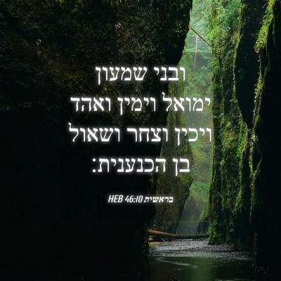 Picture 04 - בראשית 46:10 HEB - ובני שמעון ימואל וימין - Bible Verse Picture