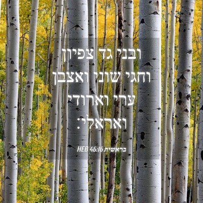 Picture 04 - בראשית 46:16 HEB - ובני גד צפיון וחגי שוני - Bible Verse Picture