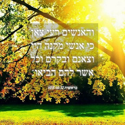 Picture 04 - בראשית 46:32 HEB - והאנשים רעי צאן כי אנשי - Bible Verse Picture