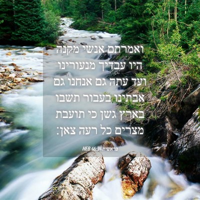 Picture 04 - בראשית 46:34 HEB - ואמרתם אנשי מקנה היו עבדיך - Bible Verse Picture