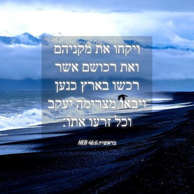 Picture 04 - בראשית 46:6 HEB - ויקחו את מקניהם ואת רכושם - Bible Verse Picture