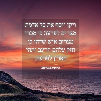 Picture 04 - בראשית 47:20 HEB - ויקן יוסף את כל אדמת מצרים - Bible Verse Picture