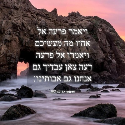 Picture 04 - בראשית 47:3 HEB - ויאמר פרעה אל אחיו מה - Bible Verse Picture