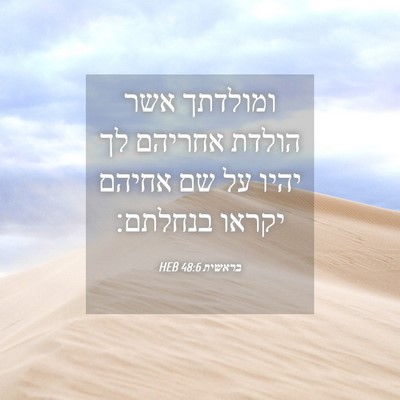 Picture 04 - בראשית 48:6 HEB - ומולדתך אשר הולדת אחריהם - Bible Verse Picture