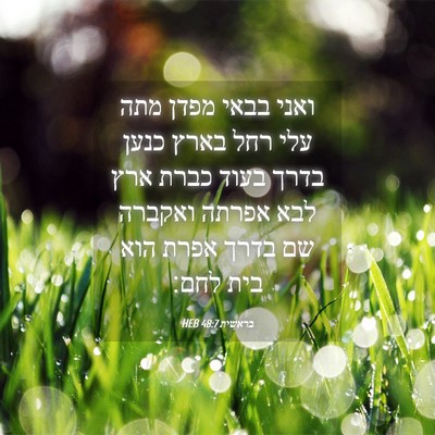 Picture 04 - בראשית 48:7 HEB - ואני בבאי מפדן מתה עלי רחל - Bible Verse Picture