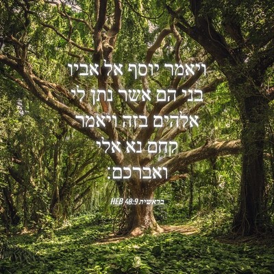 Picture 04 - בראשית 48:9 HEB - ויאמר יוסף אל אביו בני הם - Bible Verse Picture