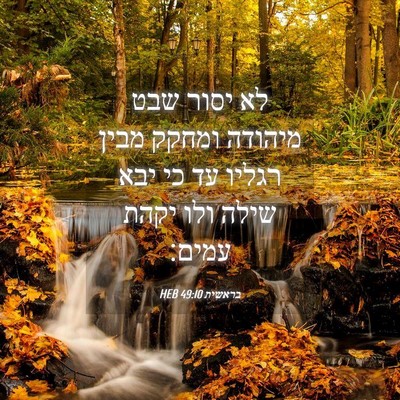 Picture 04 - בראשית 49:10 HEB - לא יסור שבט מיהודה ומחקק - Bible Verse Picture