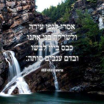 Picture 04 - בראשית 49:11 HEB - אסרי לגפן עירה ולשרקה בני - Bible Verse Picture