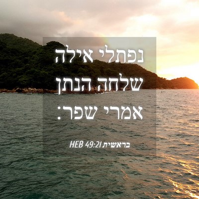 Picture 04 - בראשית 49:21 HEB - נפתלי אילה שלחה הנתן אמרי - Bible Verse Picture