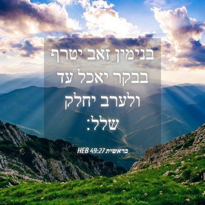 Picture 04 - בראשית 49:27 HEB - בנימין זאב יטרף בבקר יאכל - Bible Verse Picture