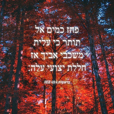 Picture 04 - בראשית 49:4 HEB - פחז כמים אל תותר כי עלית - Bible Verse Picture