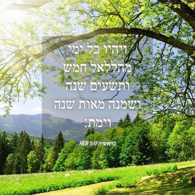 Picture 04 - בראשית 5:17 HEB - ויהיו כל ימי מהללאל חמש - Bible Verse Picture