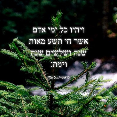 Picture 04 - בראשית 5:5 HEB - ויהיו כל ימי אדם אשר חי תשע - Bible Verse Picture