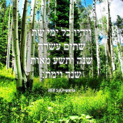 Picture 04 - בראשית 5:8 HEB - ויהיו כל ימי שת שתים עשרה - Bible Verse Picture