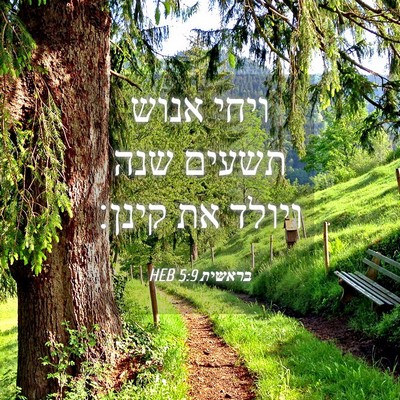 Picture 04 - בראשית 5:9 HEB - ויחי אנוש תשעים שנה ויולד - Bible Verse Picture