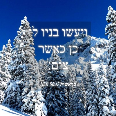 Picture 04 - בראשית 50:12 HEB - ויעשו בניו לו כן כאשר - Bible Verse Picture