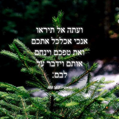Picture 04 - בראשית 50:21 HEB - ועתה אל תיראו אנכי אכלכל - Bible Verse Picture