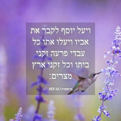 Picture 04 - בראשית 50:7 HEB - ויעל יוסף לקבר את אביו - Bible Verse Picture