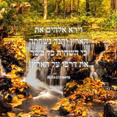 Picture 04 - בראשית 6:12 HEB - וירא אלהים את הארץ והנה - Bible Verse Picture