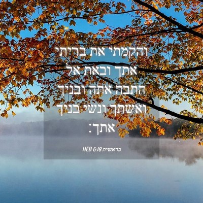 Picture 04 - בראשית 6:18 HEB - והקמתי את בריתי אתך ובאת אל - Bible Verse Picture