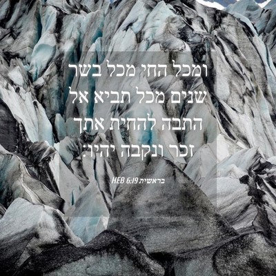 Picture 04 - בראשית 6:19 HEB - ומכל החי מכל בשר שנים מכל - Bible Verse Picture