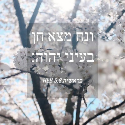 Picture 04 - בראשית 6:8 HEB - ונח מצא חן בעיני - Bible Verse Picture