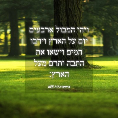 Picture 04 - בראשית 7:17 HEB - ויהי המבול ארבעים יום על - Bible Verse Picture