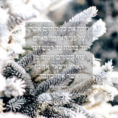 Picture 04 - בראשית 7:23 HEB - וימח את כל היקום אשר על פני - Bible Verse Picture