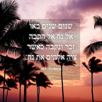Picture 04 - בראשית 7:9 HEB - שנים שנים באו אל נח אל התבה - Bible Verse Picture