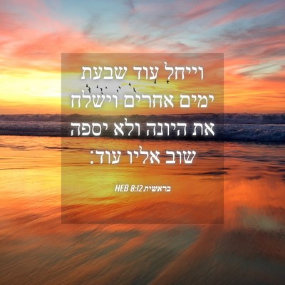 Picture 04 - בראשית 8:12 HEB - וייחל עוד שבעת ימים אחרים - Bible Verse Picture