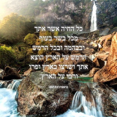 Picture 04 - בראשית 8:17 HEB - כל החיה אשר אתך מכל בשר - Bible Verse Picture